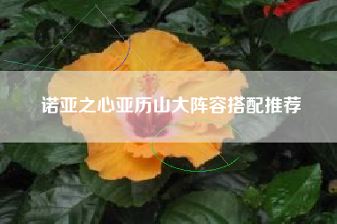 诺亚之心亚历山大阵容搭配推荐
