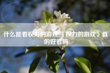 什么能看权力的游戏,《权力的游戏》真的好看吗