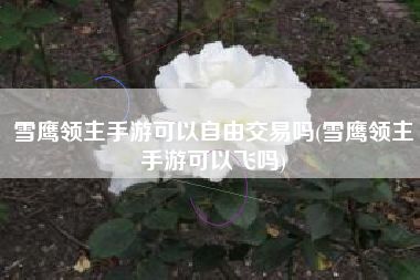 雪鹰领主手游可以自由交易吗(雪鹰领主手游可以飞吗)