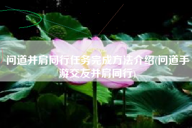 问道并肩同行任务完成方法介绍(问道手游交友并肩同行)