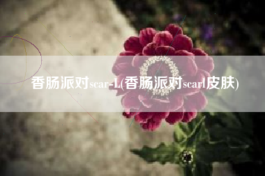 香肠派对scar-L(香肠派对scarl皮肤)