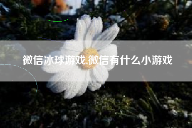微信冰球游戏,微信有什么小游戏