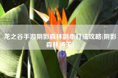 龙之谷手游阴影森林副本打法攻略(阴影森林通关)