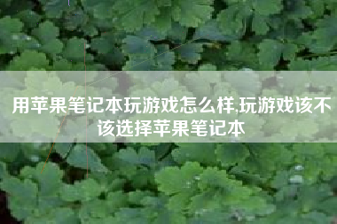 用苹果笔记本玩游戏怎么样,玩游戏该不该选择苹果笔记本
