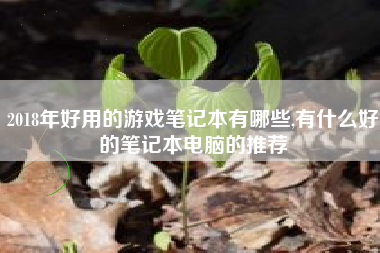 2018年好用的游戏笔记本有哪些,有什么好的笔记本电脑的推荐