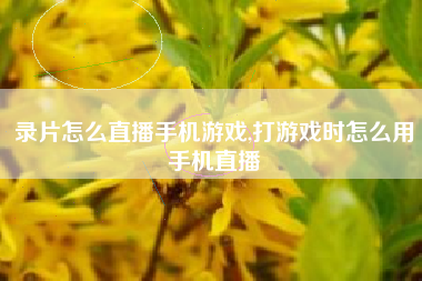 录片怎么直播手机游戏,打游戏时怎么用手机直播
