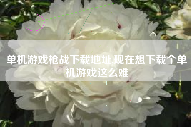单机游戏枪战下载地址,现在想下载个单机游戏这么难