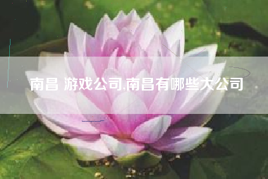 南昌 游戏公司,南昌有哪些大公司
