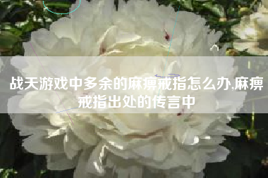 战天游戏中多余的麻痹戒指怎么办,麻痹戒指出处的传言中
