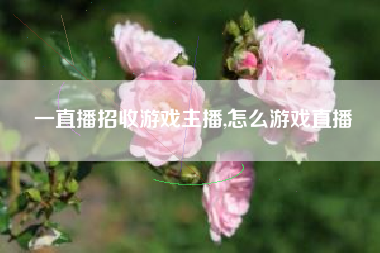 一直播招收游戏主播,怎么游戏直播