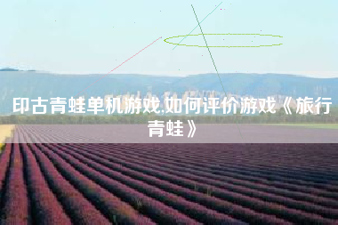 印古青蛙单机游戏,如何评价游戏《旅行青蛙》