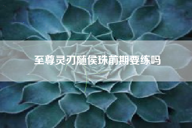 至尊灵刃随侯珠前期要练吗