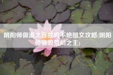 阴阳师御浪之音故鸣不绝图文攻略(阴阳师骁浪荒川之主)