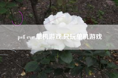 ps4 eve 单机游戏,只玩单机游戏