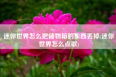 迷你世界怎么把储物箱的东西丢掉(迷你世界怎么点歌)
