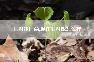 h5游戏厂商,现在H5游戏怎么样