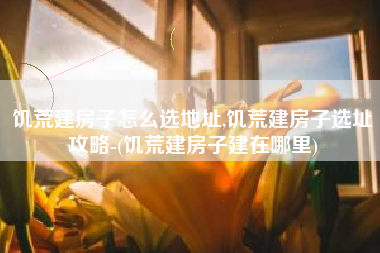 饥荒建房子怎么选地址,饥荒建房子选址攻略-(饥荒建房子建在哪里)