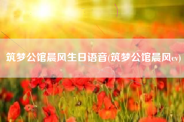 筑梦公馆晨风生日语音(筑梦公馆晨风cv)