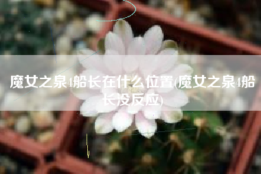 魔女之泉4船长在什么位置(魔女之泉4船长没反应)