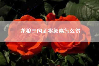 龙狼三国武将郭嘉怎么得