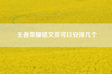 王者荣耀铭文页可以安排几个