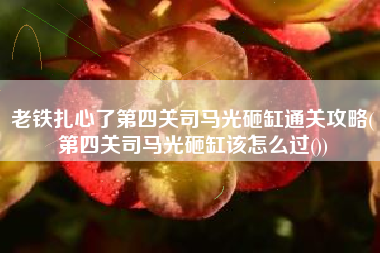 老铁扎心了第四关司马光砸缸通关攻略(第四关司马光砸缸该怎么过())