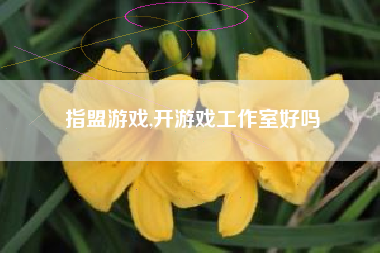 指盟游戏,开游戏工作室好吗