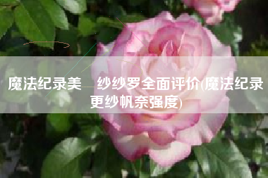 魔法纪录美凪纱纱罗全面评价(魔法纪录更纱帆奈强度)