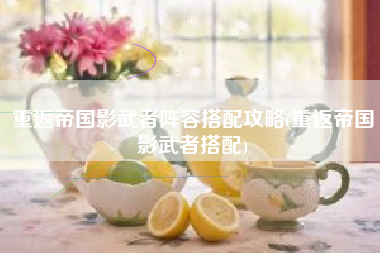 重返帝国影武者阵容搭配攻略(重返帝国影武者搭配)