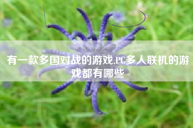 有一款多国对战的游戏,PC多人联机的游戏都有哪些