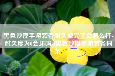 黑色沙漠手游装备耐久掉完了会怎么样-耐久度为0会坏吗-(黑色沙漠手游装备词条)