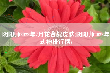 阴阳师2022年7月花合战皮肤(阴阳师2022年式神排行榜)