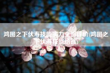 鸿图之下伏寿技能实力全面评价(鸿图之下伏寿技能给谁)