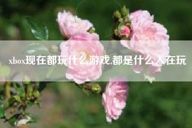 xbox现在都玩什么游戏,都是什么人在玩