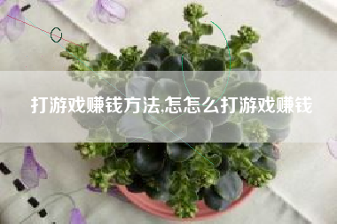 打游戏赚钱方法,怎怎么打游戏赚钱