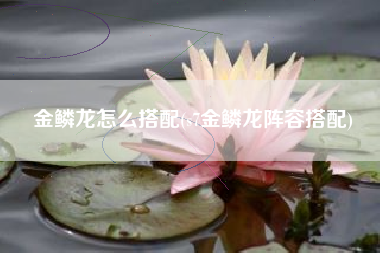 金鳞龙怎么搭配(s7金鳞龙阵容搭配)