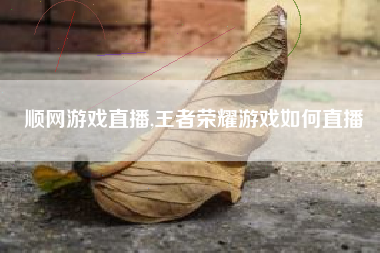 顺网游戏直播,王者荣耀游戏如何直播