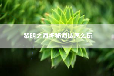 黎明之海神秘海域怎么玩