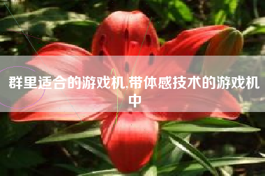 群里适合的游戏机,带体感技术的游戏机中