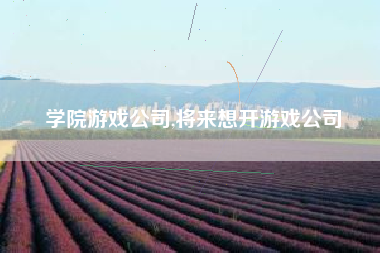 学院游戏公司,将来想开游戏公司