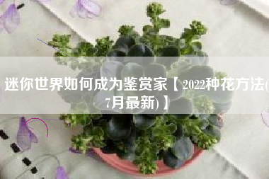 迷你世界如何成为鉴赏家【2022种花方法(7月最新)】