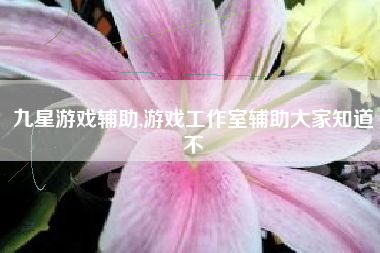 九星游戏辅助,游戏工作室辅助大家知道不