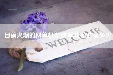 目前火爆的网单机游戏,单机游戏有多火