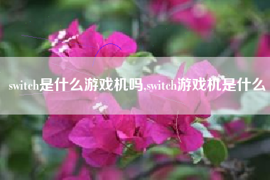 switch是什么游戏机吗,switch游戏机是什么