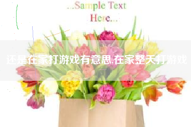 还是在家打游戏有意思,在家整天打游戏