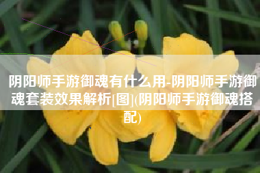 阴阳师手游御魂有什么用-阴阳师手游御魂套装效果解析[图](阴阳师手游御魂搭配)