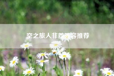 空之旅人非酋阵容推荐
