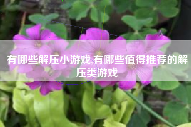 有哪些解压小游戏,有哪些值得推荐的解压类游戏