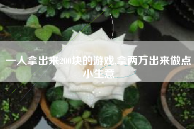 一人拿出来200块的游戏,拿两万出来做点小生意