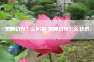 龙族幻想怎么照相(龙族幻想怎么获得)